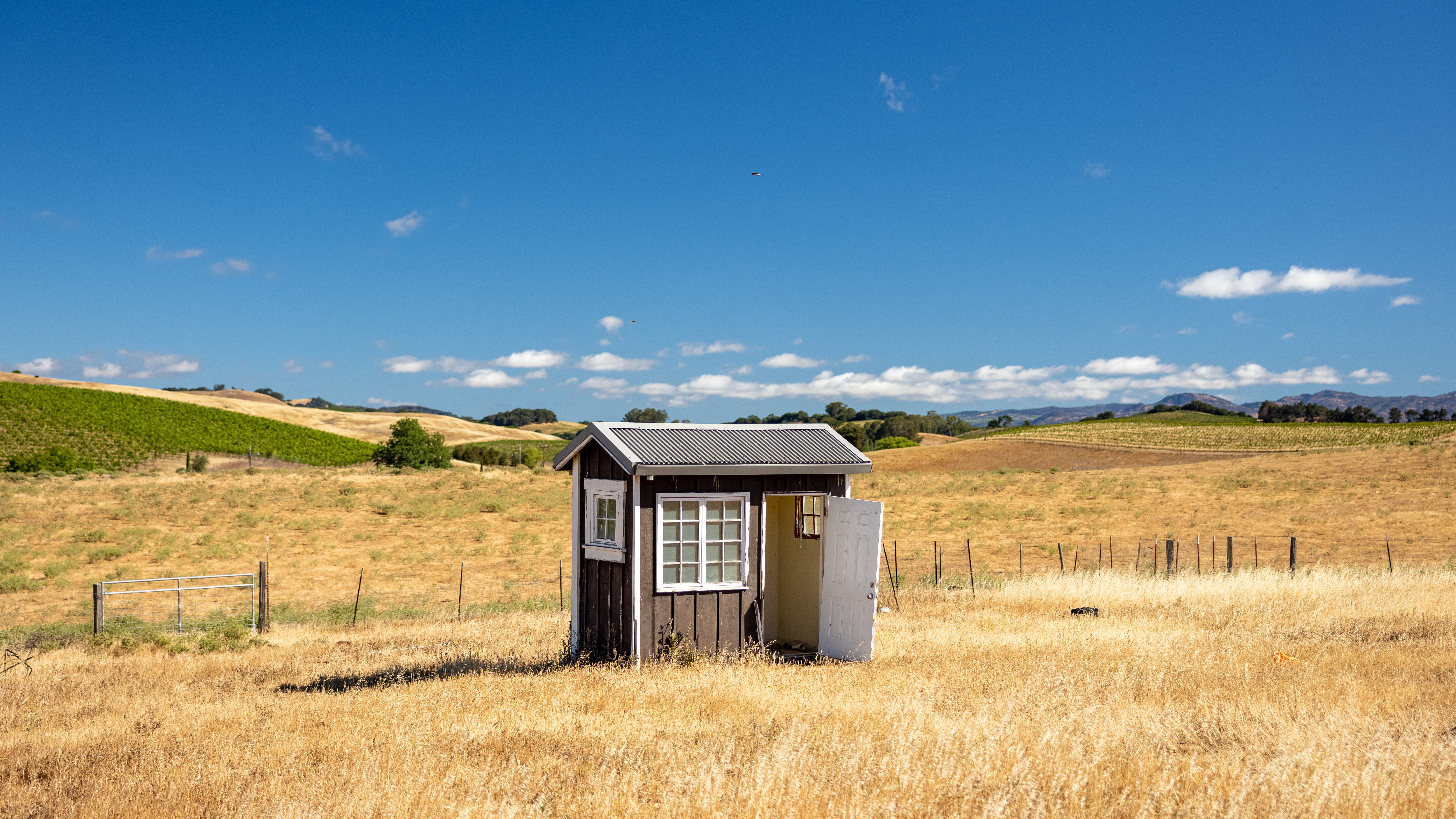 negative-space-old-grassland-shed